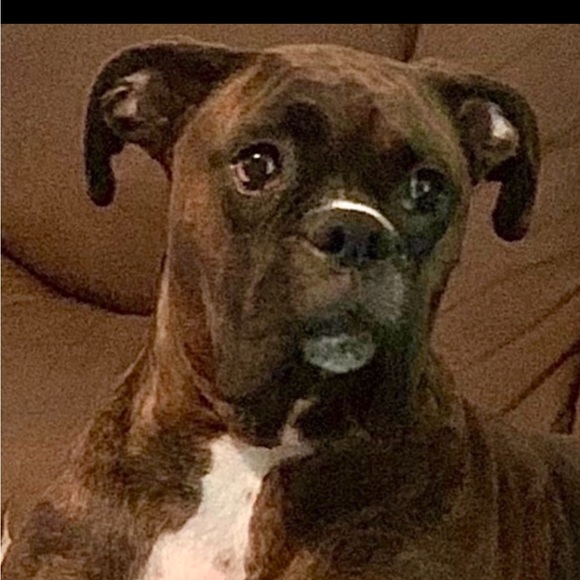 Meet your Posher, Debbie.Handmade jewelry - Picture 4 of 17